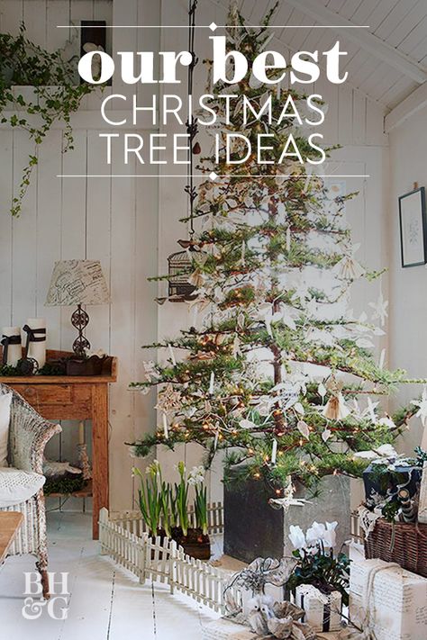 Decorated Sparce Christmas Tree, Sparse Tree Decorating Ideas, Sparse Tree Decorating, Sparse Christmas Tree Decorating Ideas, Alpine Christmas Tree Decorating Ideas, Cypress Christmas Tree Decorated, Alpine Tree Decorating Ideas, Sparse Christmas Tree Decorated, Decorating Sparse Christmas Tree