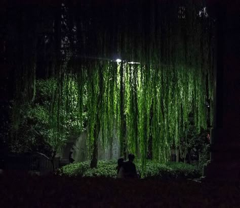 Forest Theater Set Design, Forest Theatre Set Stage Design, Forest Theatre Set, Garden Set Design Theatre, Nature Stage Design, Forest Stage Design, Tree Set Design, Forest Set Design, Outdoor Stage Design