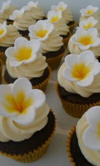 Frangipani Cupcakes, Tahitian Wedding, Frangipani Cake, Hawaii Cupcakes, Hawaiian Cupcakes, Island Cake, Moana Cake, Cake Shops, Birthday Bbq