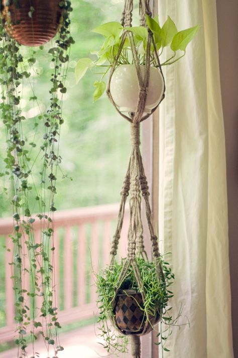 Macrame plant hangers for a Bohemian look Indoor Forest, Macrame Plant Hanger Tutorial, Diy Plant Hanger, Have Inspiration, Macrame Plant Hangers, Plant Hangers, Macrame Ideas, Cactus Y Suculentas, Hanging Pots