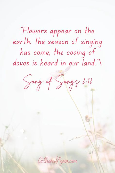 10 Bible Verses About Flowers and a Devotional | Gathered Again Garden Bible Verses, Bible Verse About Flowers, Bible Verses About Flowers, Verses About Flowers, Bible Flowers, Flowers Bible Verse, Esv Bible Verses, Flower Bible Verse, Garden Quotes Signs