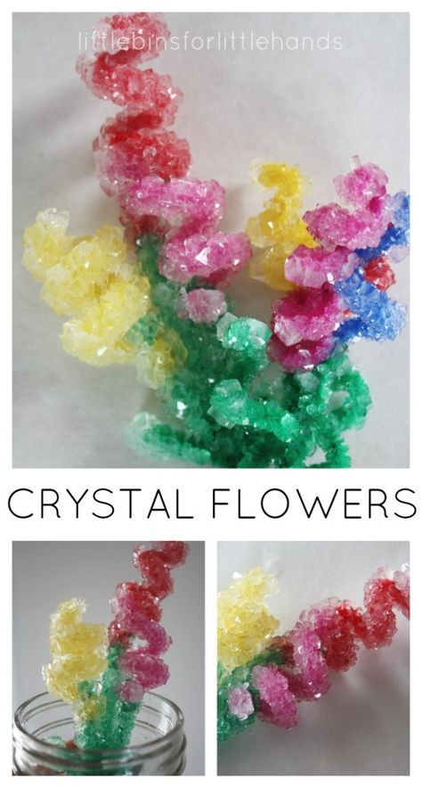 Crystal Flowers Activity Spring Science Crystal Growing Borax Pipe Cleaners Spring Science Experiments, Spring Science, Borax Crystals, Spring Activity, Growing Crystals, Experiments Kids, How To Make Crystals, Mother's Day Activities, Science Crafts