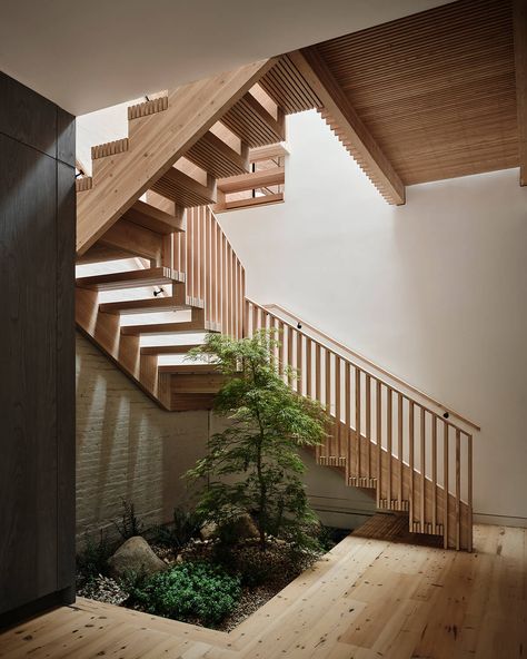 AZ Awards 2024 Finalist: Brooklyn Mass Timber House | AZ Awards Boston Apartment, Open Trap, Timber Staircase, Structural Insulated Panels, Timber Buildings, Indoor Trees, Melbourne House, Wooden Staircases, Timber Construction