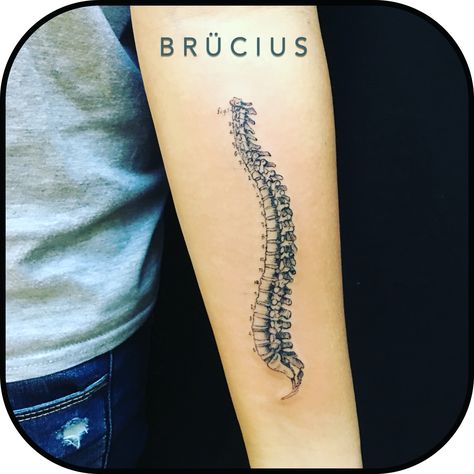 #BRÜCIUS #TATTOO #SanFrancisco #bayarea #brucius #natural #science #engraving #etching #sculptoroflines #dotwork #blackworkartist #blackwork #black #ink #penandink #chiropractic #spine #lateral Natural Science, Fox Tattoo, Dec 30, Skin Art, Geometric Lines, First Tattoo, Chiropractic, Blackwork, Etching