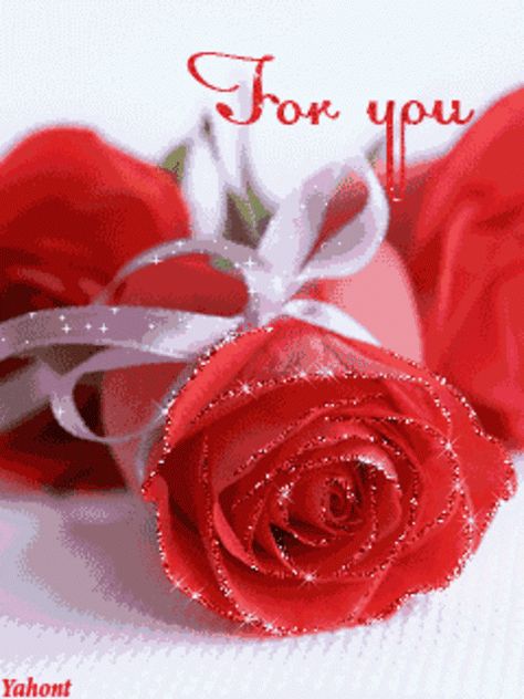 For You love flowers heart animated love quote gif i love you sweetheart valentine's day red rose valentine Halloween Nails Short, Roses Gif, Love Rose Flower, Coeur Gif, Red Roses Wallpaper, Cute Halloween Nails, Rose Flower Wallpaper, I Love You Pictures, Beautiful Red Roses