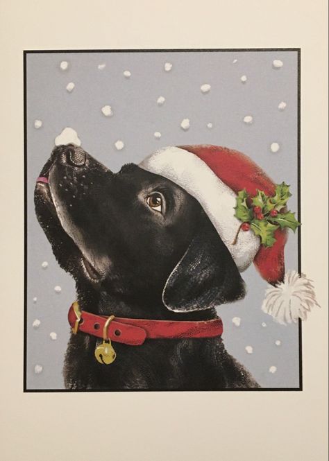 Tucker Dog, Black Lab Christmas, Dog Drawing Tutorial, Watercolour Animals, Christmas Rug, Dog Christmas Card, Christmas Rugs, Lab Dogs, Watercolor Christmas Cards