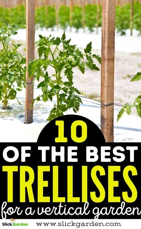 Watermelon Trellis Diy, Tomato Garden Trellis, Vertical Garden Trellis, Zucchini Trellis, Trellis Ideas Garden, Outdoor Trellis Ideas, Squash Trellis, Vertical Trellis, Vegetable Trellis