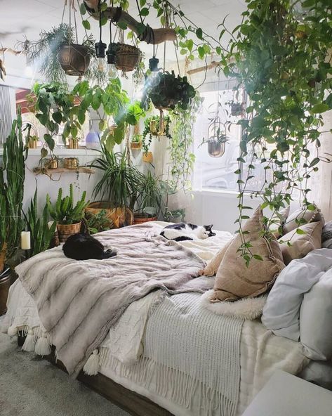 20+ Aesthetic Room Ideas That You'll Be Tempted to Try - Displate Blog Lots Of Plants, Decor Pictures, Room Deco, Redecorate Bedroom, Aesthetic Rooms, Dreamy Room, Room With Plants, Dream Room Inspiration, Cozy Room