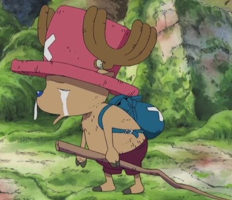 One Piece Skypiea Arc, Skypia Arc One Piece, One Piece Arcs List, Skypiea One Piece, Chopper Crying, One Piece Skypiea, Time Skip, One Piece Pictures, Little Garden