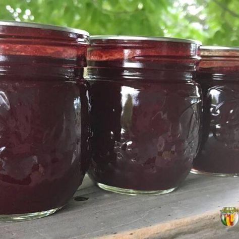 No pectin plum jam contains a TON of sugar. But with this recipe, you can enjoy LOW SUGAR plum jam...without worrying about whether it will set properly or not! Check it out at #SimplyCanning #plumjamrecipe Plum Butter Recipe Canning, Low Sugar Plum Jam Recipe, Sand Plum Jelly Recipe, Plum Jam With Pectin, Sugar Plum Jam, Plum Jam Recipe, Plum Sauce Recipe, Pectin Recipes, Canned Plums