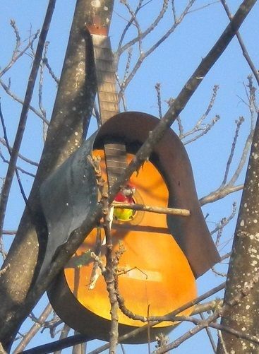 Old Guitar Repurpose, Broken Guitar, Guitar Shelf, Old Guitar, Air Guitar, Guitar Ideas, Bird Song, Guitar Gifts, Upcycling Ideas