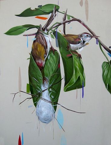 Frank Gonzales Tailor Bird, Paintings Of Birds, Drawing And Colouring, Bird Drawing, God Is Amazing, Bird Drawings, Colorful Birds, Birds Painting, Plant Life