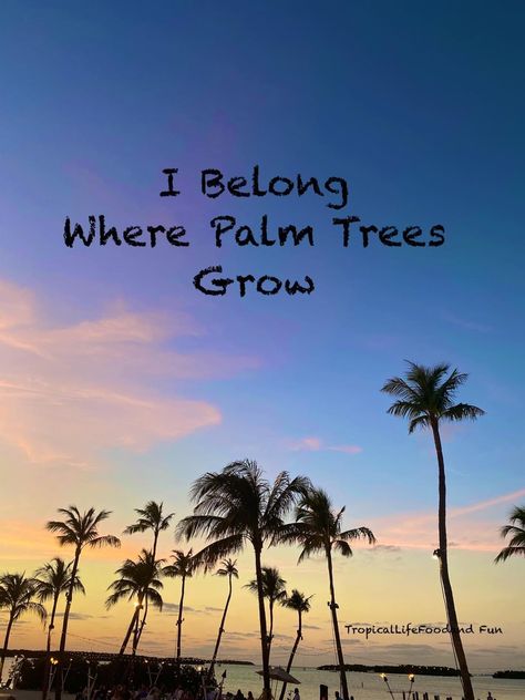 Tropical Quotes, Palm Tree Quotes, Belonging Quotes, Best Travel Quotes, Beach Quotes, Summer Quotes, California Love, Salt Life, Backyard Makeover