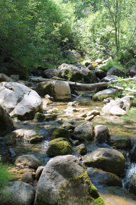 Riverclan Camp, Grotto Falls, Forest Creek, River Side, Stone Photography, Boulder Creek, Rocky River, Swimming Pond, River Photography