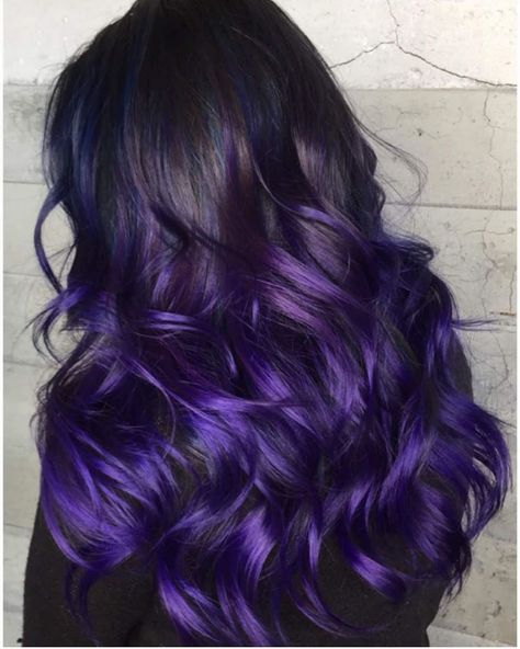 Black Roots With Purple Hair, Black White Hair Color, Black And Purple Ombre Hair, Highlight Styles, Black And Purple Hair, Under Hair Color, Blue And Purple Hair, Red Violet Hair, Highlights Red