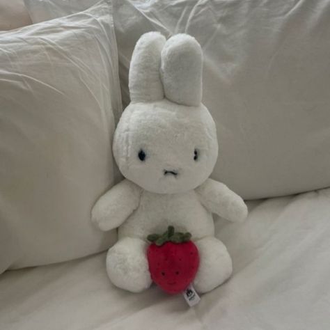 Miffy Icon, Products To Buy, Cute Decor, Decoration Ideas, I Love, Pillows, Bed, Red