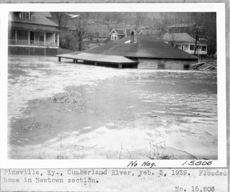 Cumberland River Flood 1939 - Pineville, Kentucky | Flickr - Photo Sharing! Pineville Kentucky, Appalachian People, Cumberland Gap, Cumberland Falls, Louisiana History, Cumberland River, Daniel Boone, Army Corps Of Engineers, Family Roots