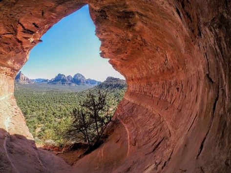 Photos of Birthing Cave - Arizona | AllTrails Cheyenne Woods, Coconino National Forest, Arizona Vacation, Wooded Landscaping, Arizona Hiking, Hidden Places, Kings Canyon, Ends Of The Earth, Arizona Travel