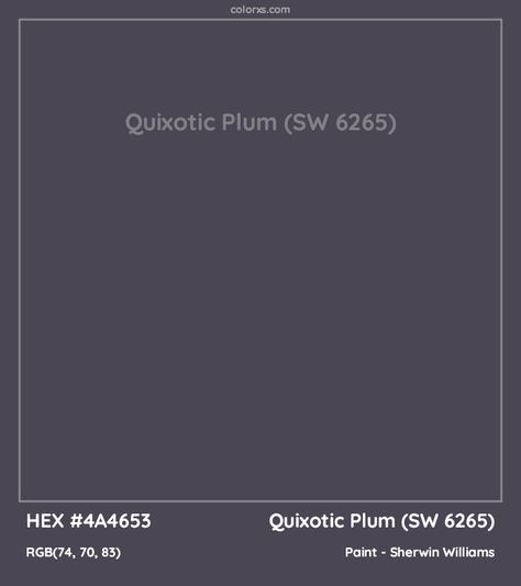 HEX #4A4653 Quixotic Plum (SW 6265) Paint Sherwin Williams - Color Code Sherwin Williams Quixotic Plum, Quixotic Plum Sherwin Williams, Dark Purple Exterior House Colors, Zircon Sherwin Williams, Sherwin Williams Purple Paint Colors, Dark Purple Paint Colors, Violet Bathroom, Dark Purple Paint, Emotionally Connected