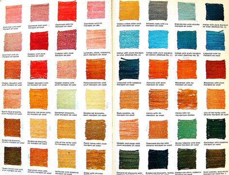 Vegetable Dye Color Chart by Crossett Library Bennington College, via Flickr Fabric Experiments, Natural Prints, Tinta Natural, Diy Dye, Natural Dye Fabric, Eco Dyeing, Wood Prints, Dye Fabric, Eco Printing