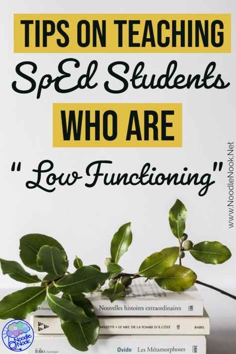 Low Functioning Asd Activities, Special Ed Cooking Activities, Low Incidence Classroom Activities, Mod Severe Special Ed Activities, Severe Special Education Classroom Ideas, Severe And Profound Classroom Activities, Functional Academics Special Education, Special Ed Classroom, Ed Classroom