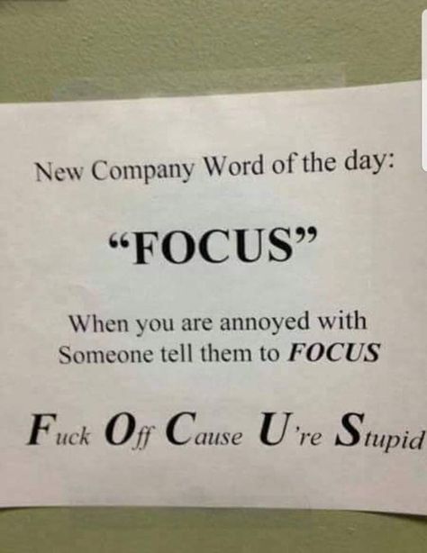 Co Worker Memes, Annoying Co Workers, Irish Jokes, Office Humor, Work Memes, Visual Statements, Word Of The Day, Work Humor, Work Quotes