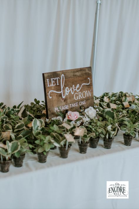 Wedding Favors For Guests Plants, Wedding Gifts For Guests Plants, Wedding Favor Decor, Plant A Tree Wedding Favor, Plants For Wedding Favors, Weddings Giveaways For Guests, Mini Plant Wedding Favors, Plant Propagation Wedding Favor, Plant Themed Party Favors