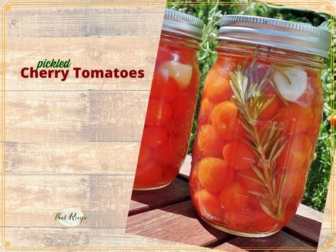 Pickled Cherry Tomatoes Pickled Cherry Tomatoes Recipe, Canned Cherry Tomatoes, Winter Canning, Pickled Cherry Tomatoes, Garlic Pickled, Canning Jelly, Cherry Tomatoes Recipe, Canning Cherry Tomatoes, Canning Tomatoes Recipes