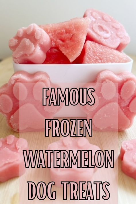 These famous frozen watermelon dog treats will be in every dog owner's freezer this summer because they're easy to make and dogs love them as a refreshing cool treat on a hot summer day. Watermelon Dog Treats, Watermelon For Dogs, Greek Yogurt And Honey, Frozen Dog Treats Recipes, Dog Popsicles, Watermelon Snack, Frozen Dog Treats Homemade, Seedless Watermelon, Watermelon Dog