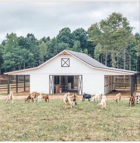 Farm Backyard, Farm Goals, Dream Barn Stables, Livestock Barn, American Cowgirl, Backyard Barn, Horse Barn Ideas Stables, Goat House, Family Compound