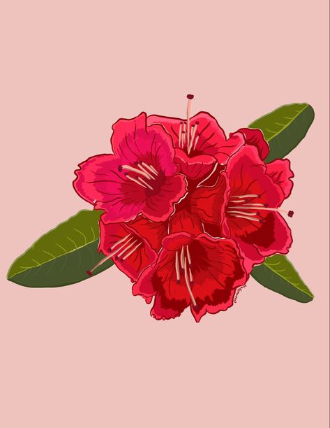 Nepali National Flower #nepal #nepalese Nepal National Flower, Nepali Culture Art, Nepal Illustration, Cafe Renovation, Nepali Flag, Photo Zen, Nepali Art, Nepal Art, Easy Diy Room Decor