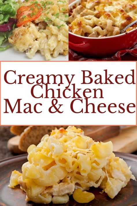 Creamy baked chicken mac and cheese. Chicken Recipes To Go With Mac N Cheese, Cheesy Chicken Mac And Cheese, Mac N Cheese Chicken Casserole, Baked Chicken And Mac And Cheese, Easy Chicken Mac And Cheese, Macaroni And Chicken Casserole, Chicken Nugget Mac And Cheese, Baked Mac And Cheese With Chicken, Creamy Chicken Mac And Cheese