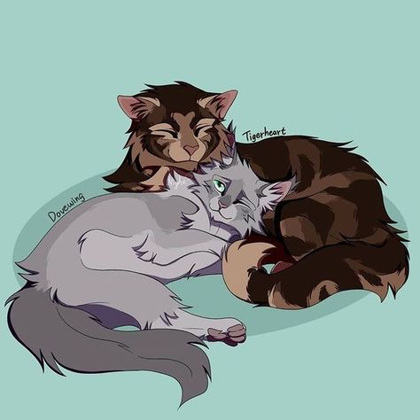 Warrior Cat Memes, Warrior Cats Series, Image Couple, Warrior Cats Fan Art, Warrior Cat Drawings, Love Warriors, Warrior Cat Oc, Cat Couple, Warrior Cats Art