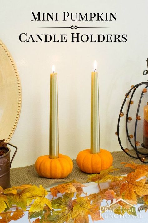 Turn a mini pumpkin into a candle holder in just five minutes! (Can be sized to fit tea lights, votives, or tapers) Pumpkin Candle Holder, Fit Tea, Pumpkin Candle, Valentines Pillows, Thanksgiving Decorations Diy, Diy Thanksgiving, Diy Candle Holders, Garden Crafts Diy, Pumpkin Candles