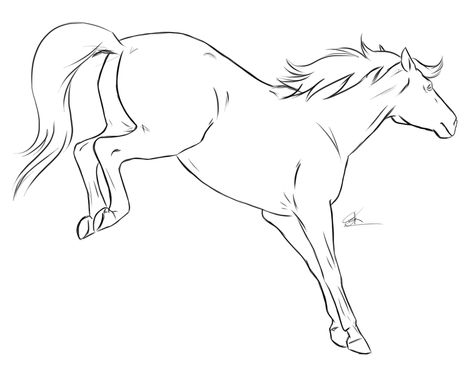 Horse Bucking Drawing, Bucking Horse Drawing, Horse Bucking, Sick Drawings, Bucking Horse, Learn To Sketch, Horse Sketch, My Rules, Horse Tattoo