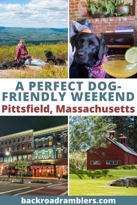 Pittsfield Massachusetts, Massachusetts Travel, New England States, Weekend Itinerary, Summer Dog, Back Road, City Limits, Dog Park, Family Adventure