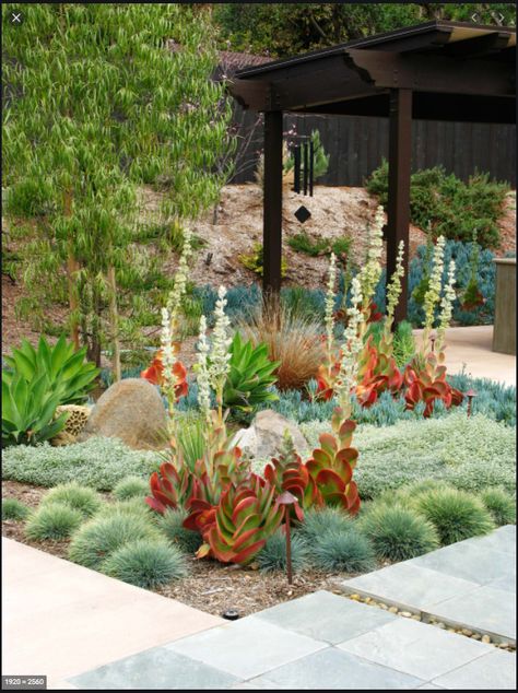 Modern Garden Landscaping, Low Water Landscaping, Succulent Landscape Design, Low Water Gardening, Drought Tolerant Garden, Succulent Landscaping, Drought Tolerant Landscape, Dry Garden, Modern Landscape Design