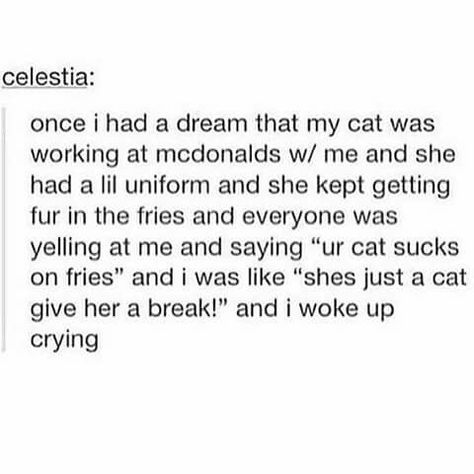 Cat working at McDonald's dream Funny Dreams, Dreams Tumblr, Working At Mcdonalds, Communist Propaganda, Weird Dreams, Funny Tumblr Posts, Funny Stories, Tumblr Funny, Tumblr Posts