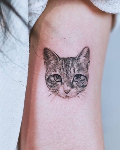 Cat Tattoos Realistic, Realistic Cat Face Tattoo, Realistic Pet Tattoos, Realistic Cat Tattoos, Realism Cat Tattoo, Cat Realistic Tattoo, Cat Tattoo Realism, Cat Tattoo Realistic, Cat Tattoo Portrait