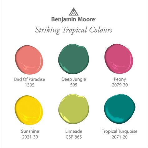 Benjamin Moore UK (ShawPaints) on Instagram: “Bring summer into your interior with tropical jungle greens, coral pinks and bright yellows. Visit www.benjaminmoorepaint.co.uk to discover…” Tropical Paint Colors, Bright Green Paint Colors, Bright Green Paint, Bright Bedrooms, Havana Nights Theme, Tropical British Colonial, Australian Colours, Bright Paint Colors, Welsh Blanket