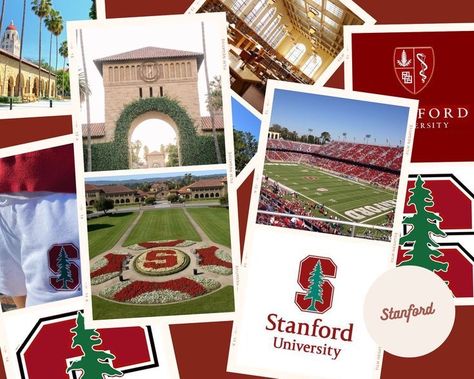 Stanford Acceptance, Stanford Graduation, Stanford College, Irish Goodbye, University Inspiration, College Vision Board, College Acceptance, Us Universities, Vision Board Goals