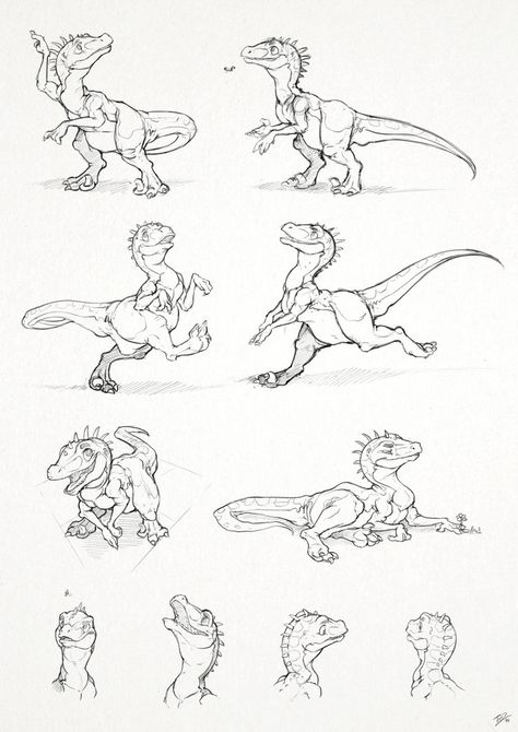 Papo Raptor Sketches by thazumi on DeviantArt Raptor Sketch, Sketching Reference, Maus Illustration, Dinosaur Sketch, Dinosaur Drawing, Paleo Art, Desenho Tattoo, Dinosaur Art, Poses Reference