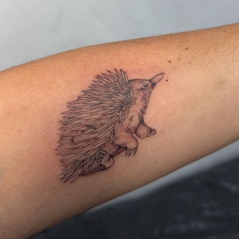 Australia Travel Tattoo, Echidna Tattoo, Aboriginal Tattoo, New Tattoo, Fine Line Tattoos, Tattoo Inspo, Arm Sleeve, Flower Tattoos, Wood Burning