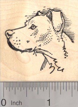 Pitbull Dog Rubber Stamp Profile * Visit the image link more details. Pitbull Drawing, Profile Drawing, Blue Pits, Traditional Tattoo Art, Doodle Dog, Pitbull Puppies, American Pitbull Terrier, Side Profile, Hound Dog