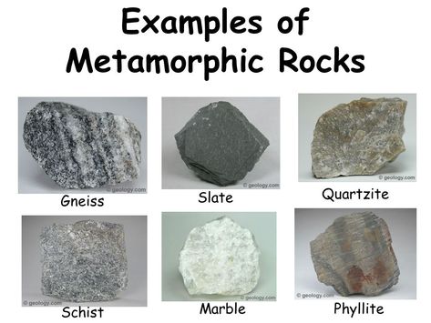 Metamorphic Rocks Examples, Fold Geology, Geology Activities, Types Of Rocks, Different Types Of Rocks, Raw Gemstones Rocks, Rock Science, Flowers Template, Giant Paper Flowers Template