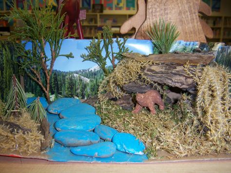 making animals for diorama | Mrs. Hedberg's: Animal Camouflage Diorama Project Diaroma Ideas, Diorama Project, Expository Text, Bear Habitat, Habitats Projects, Reading Unit, Dinosaur Crafts, Spring Projects, Science Fair Projects