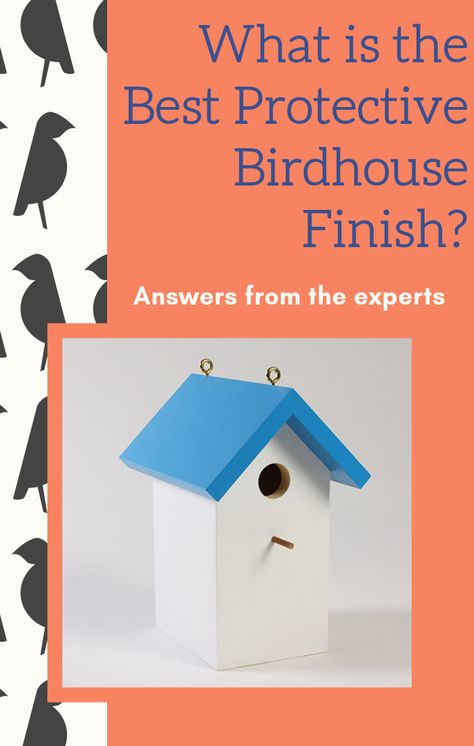 I want to protect and preserve a painted birdhouse so the colors stay and I can leave it outside year-round. What’s the best finish coating to use? Click here to subscribe to Woodworker's Journal and view this free article. #FreeArticle #WoodworkersJournal #Woodworking #BirdHouse #Finishing Painting A Birdhouse, Easy Bird House Painting Ideas, Bird House Painting Ideas Simple, Painted Birdhouses Ideas, Woodworking Birdhouse, Painted Bird Houses Ideas, Birdhouse Painting Ideas, Painting Birdhouses, Painted Birdhouses