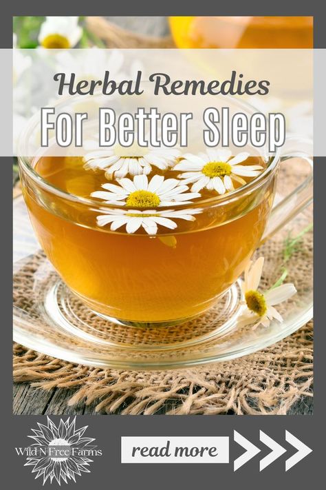 herbs for sleep Herbal Tinctures Recipes, Natural Remedies For Sleep, Herbs For Sleep, Learning Herbs, Tinctures Recipes, Herbal Remedies Recipes, Herb Shop, Healing Remedies, Herbal Teas Recipes