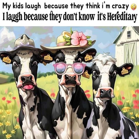 Cows with Humor Cow Humor, Cow Jokes Hilarious, Funny Cow Pictures Hilarious, Cow Funny Pics, Funny Cow Pictures, Cows Funny Cartoon, Funny Cow Cartoon Images, Funny Farm, Cow Memes Hilarious So Funny