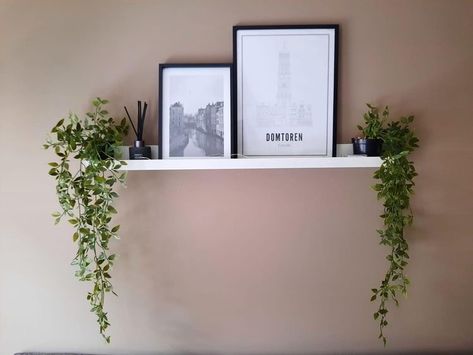 Eucalyptus Shelf Decor, Shelves Decoration Ideas, Lack Shelves, Ikea Wall Shelves, Shelves Ikea, Beige Living Room Decor, Shelves Decoration, Bedroom Plants Decor, Ikea Lack Shelves